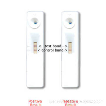 Influenza A (H1N1) Rapid Test